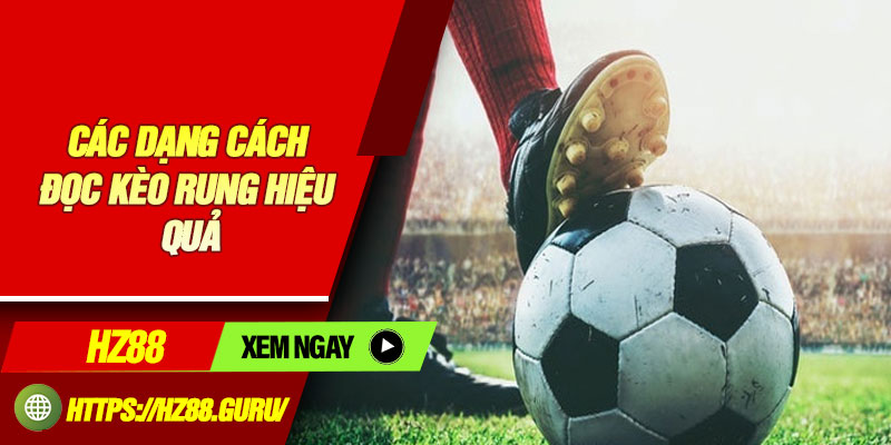 Các dạng cách đọc kèo rung hiệu quả