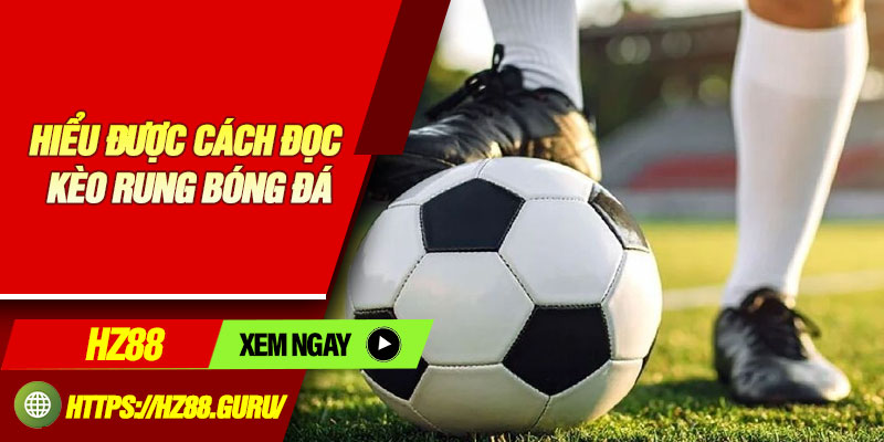 Hiểu được cách đọc kèo rung bóng đá