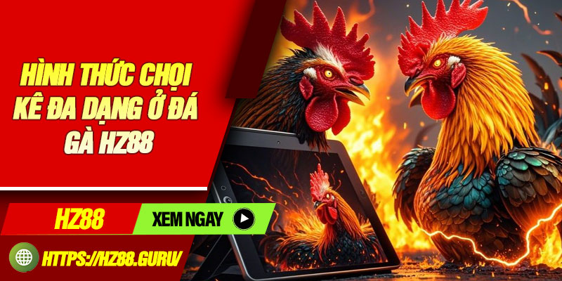 Hình thức chọi kê đa dạng ở đá gà HZ88