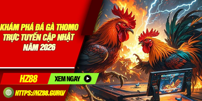 Khám phá đá gà Thomo trực tuyến cập nhật năm 2026