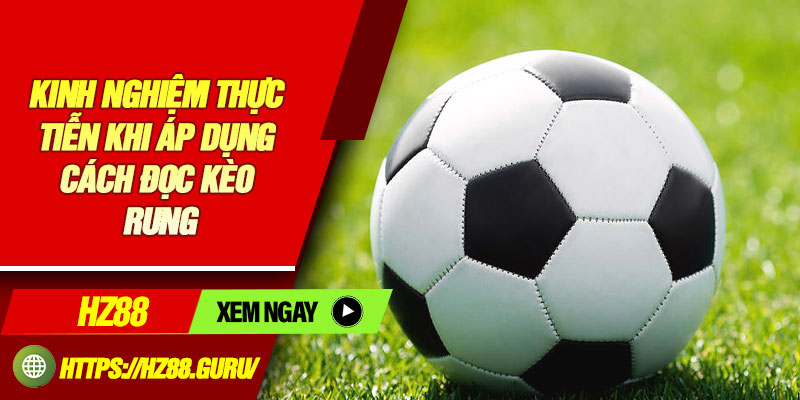 Kinh nghiệm thực tiễn khi áp dụng cách đọc kèo rung