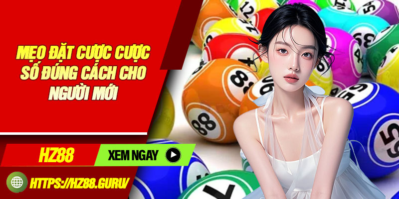 Mẹo đặt cược cược số đúng cách cho người mới