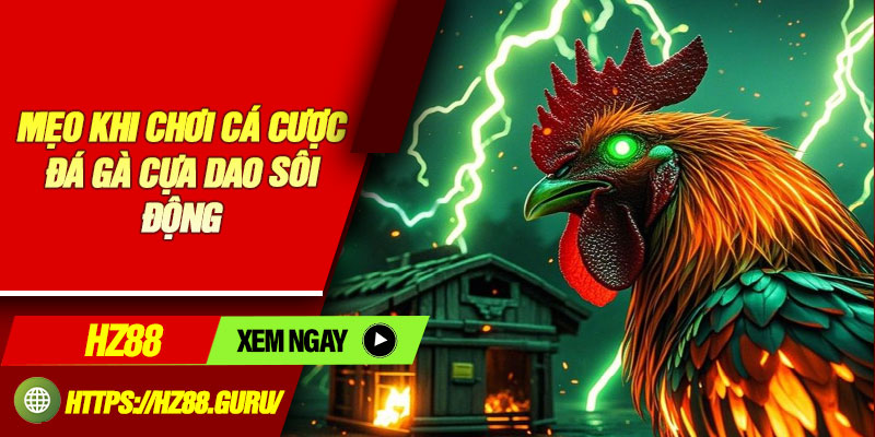 Mẹo khi chơi cá cược đá gà cựa dao sôi động