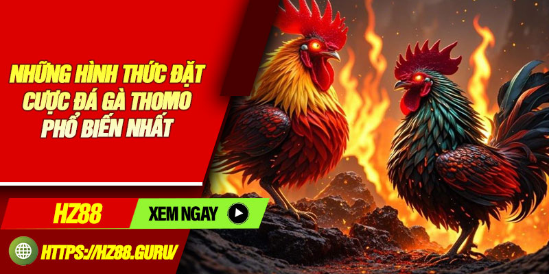 Những hình thức đặt cược đá gà Thomo phổ biến nhất