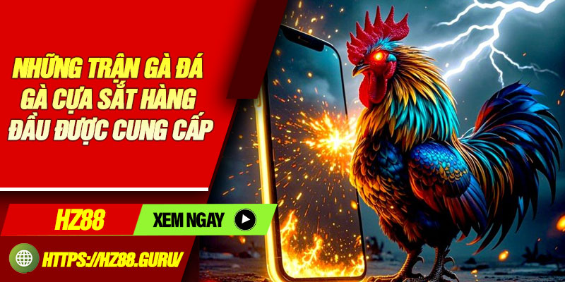 Những trận gà đá gà cựa sắt hàng đầu được cung cấp