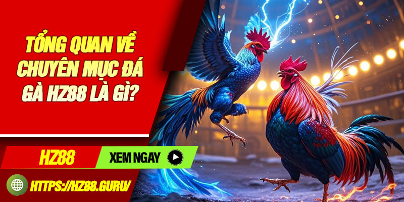 Tổng quan về chuyên mục đá gà HZ88 là gì?
