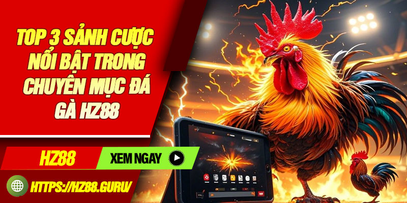 Top 3 sảnh cược nổi bật trong chuyên mục đá gà HZ88